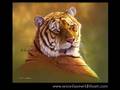 Tigers by Eric Wilson