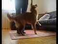How to teach: Backward weaving