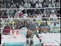 Rocky_Junior Rocky_Junior