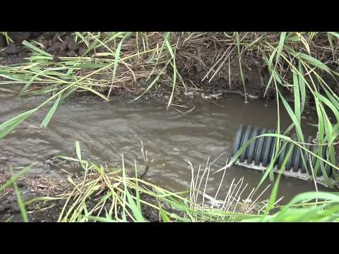 how to drain a g tube