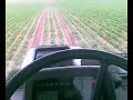 Désherbage betterave avec EZ Steer