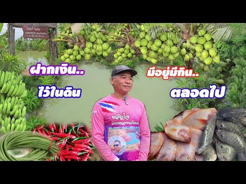 แค่ 2ปีจากพื้นที่น้ำท่วม!!เปลี่ยนมาเป็นความอุดมสมบูรณ์มีทุกอย่าง
