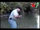 Bass Mastery On The Buzz