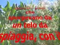 INDIFFERENZA PER BIMBE ROM ANNEGATE A NAPOLI