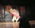 Belly Dance 1