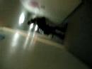 boys in da hall boys in da hall