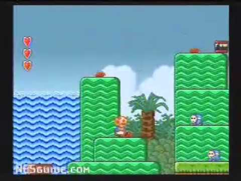 Immagine anteprima YouTube