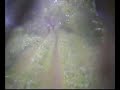 Bram in the ditch