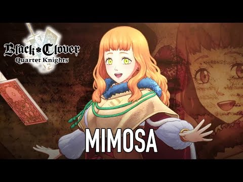 Vidéo 1