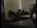Vilamendhoo Maldives Roomboy Thief Warning