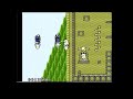 dr and tg play kiwi krazy for the nintendo entartainment system