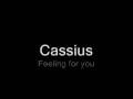 Cassius - Feeling for you
