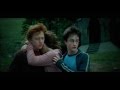 Harry Potter saga Tribute (Dancing- Elisa)