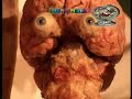 Plastination - Kyrgyzstan