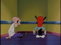 Animaniacs: \"Ups and Downs\" Animaniacs: \"Ups and Downs\"
