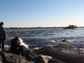 videos Surf