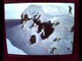 videos de PAZZIE, HO RISCHIATO L OSSO DEL COLLO! 1 LUPO