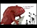 Dave the Chameleon 2 Dave the Chameleon 2