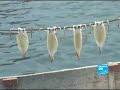les-pcheurs-japonais-rclament-des-aides.html