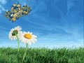 Die Fischer - Ein Sommerlied Die Fischer - Ein Sommerlied