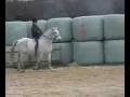 Au poney 2008