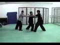 中華妙空導引武術協會暨古傳陳式太極協會-發勁(Taichi-fajing)
