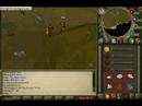 Runescape Idiots