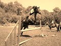 Click here to watch this video Chase Me Charlie 1m20