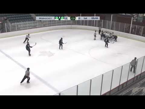 Max Giguere Highlight tape 2