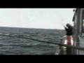 videos de Big Fish