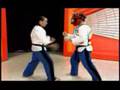 Master Teruyuki Higa - Fighting Techniques Okinawa Kenpo