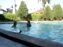 (22/07/08) com vcs =)
