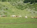 Marsia in MTB, panorama 1