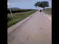 Balade en Scoot