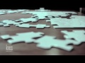 O Quebra-Cabeça da Vida
