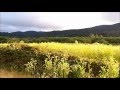 Day 84 - 06-25-2012 - Lagunitas, CA (Samuel P ...