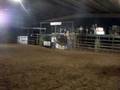 bull ridding