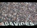 gavioes da fiel