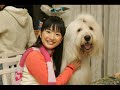 They are so cute togetherJoe Cheng and Ariel LinMusic: A Thousand Miles by Vanessa Carlton