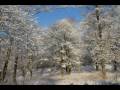Teltow s WinterWonderland