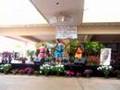 Dancing for MLK Day @ Kukui Grove