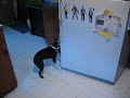 Gracie the Boston Terrier brings her human a drink with way too much enthusiam!!