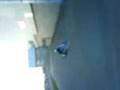 videos de TKM 100cc With Gillard Chasis
