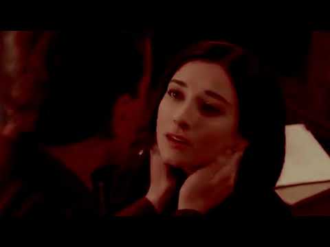 McGee and Delilah || Talk