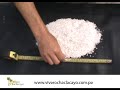 gravilla blanca