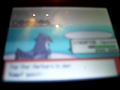 Pokemon Diamant/Perl Top Vier - Herbaro