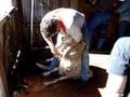 videos de onemanshearing