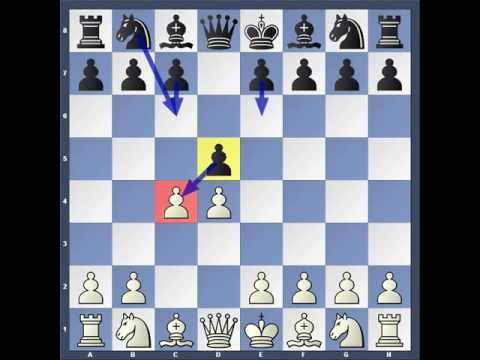 magnus carlsen