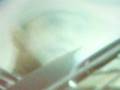 videos de Soun Tha Mi Primer Amor - Kinky  ROCK POR LA VIDA 2008 (blur