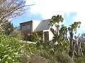 Pauanui Beach House